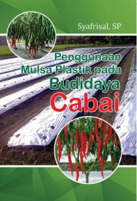 Image of Penggunaan Mulsa Plastik pada Budidaya Cabai