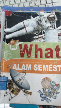 Image of What? Alam Semesta